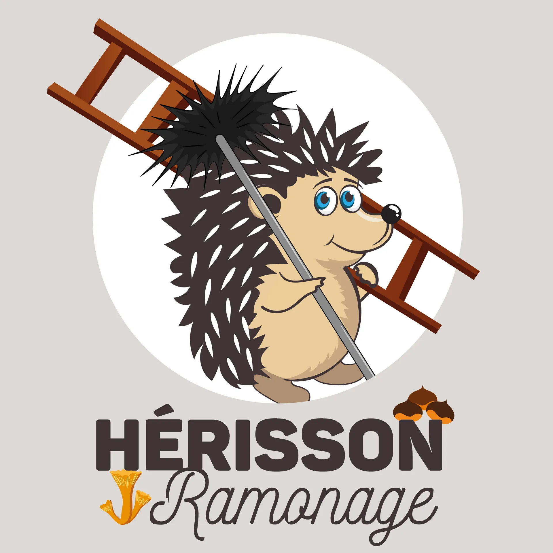 Visuel de l’entreprise Hérisson Ramonage